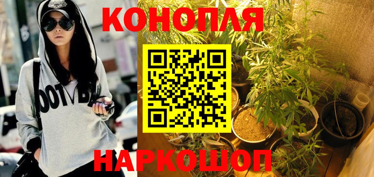 Чернушка  Шишки марихуана LSD WEED  Вход с VPN  Бошки Шишки план  Конопля тримм  Бошки Шишки семена 